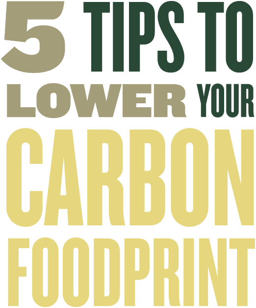 5 Tips to Lower your Carbon Footprint mobile title