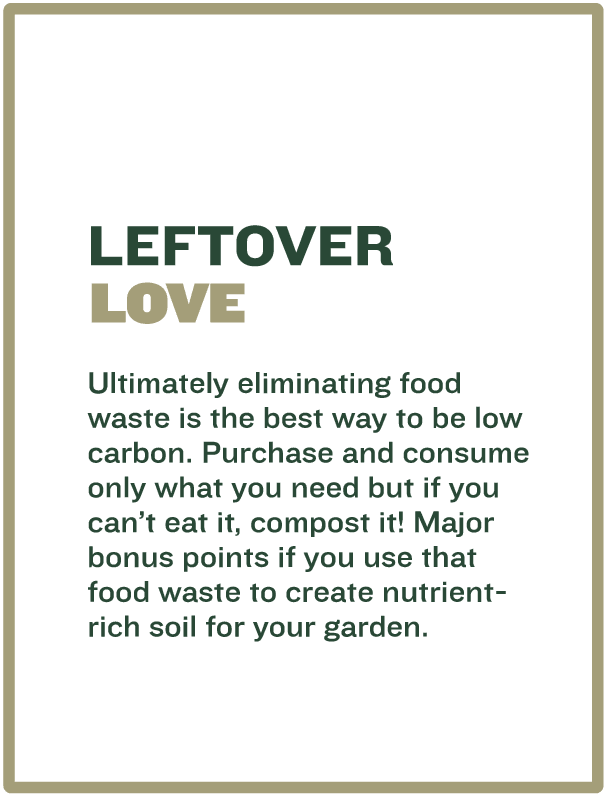 Leftover Love tip