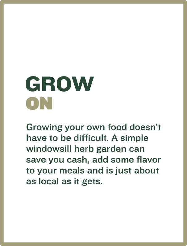 Grow On tip